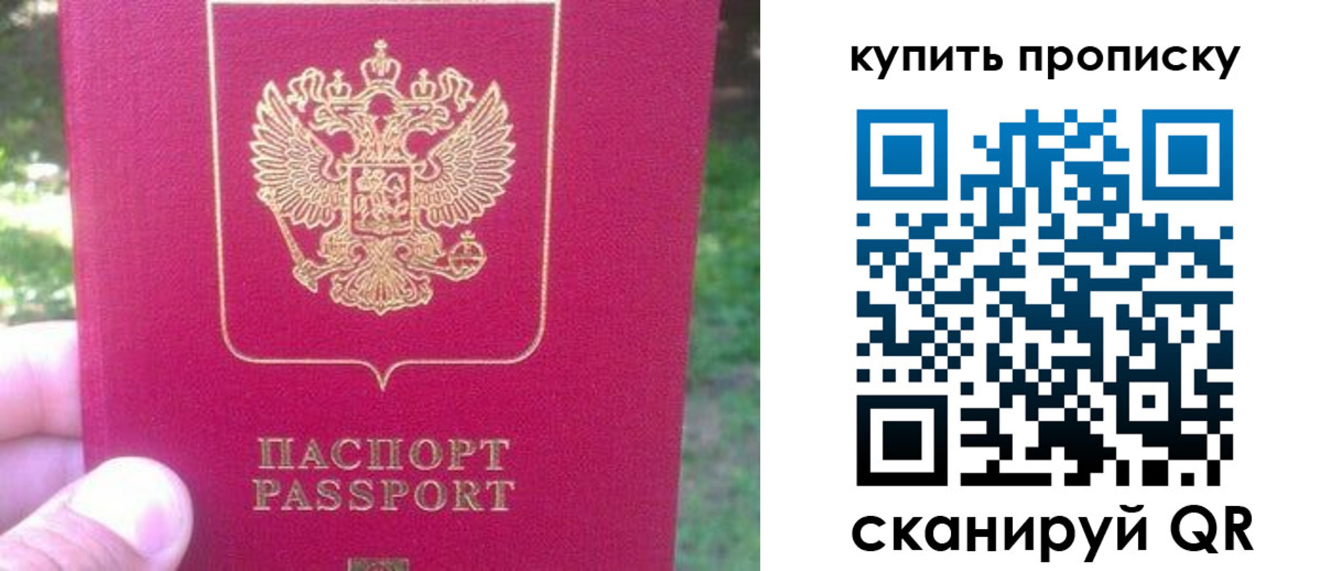 временная регистрация для школы в Чаплыгине